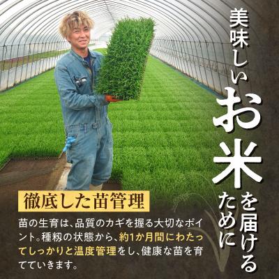 ふるさと納税 雨竜町 定期便 北海道産 ななつぼし 精米 定期便 10kg 11回 特A 雨竜町 お米 米 厳選 人気 |  | 02