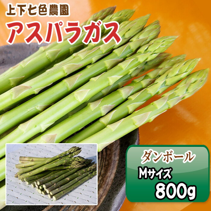 【ふるさと納税】上下七色農園 アスパラガス　Mサイズ　ダンボール（800g）［No.1092］／ 物 アスパラ プレゼント お中元 送りもの 野菜 送料無料 広島県