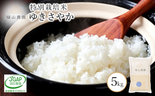 【令和7年産新米予約】 特別栽培米産地直送「ゆきさやか5kg」 《帰山農園》