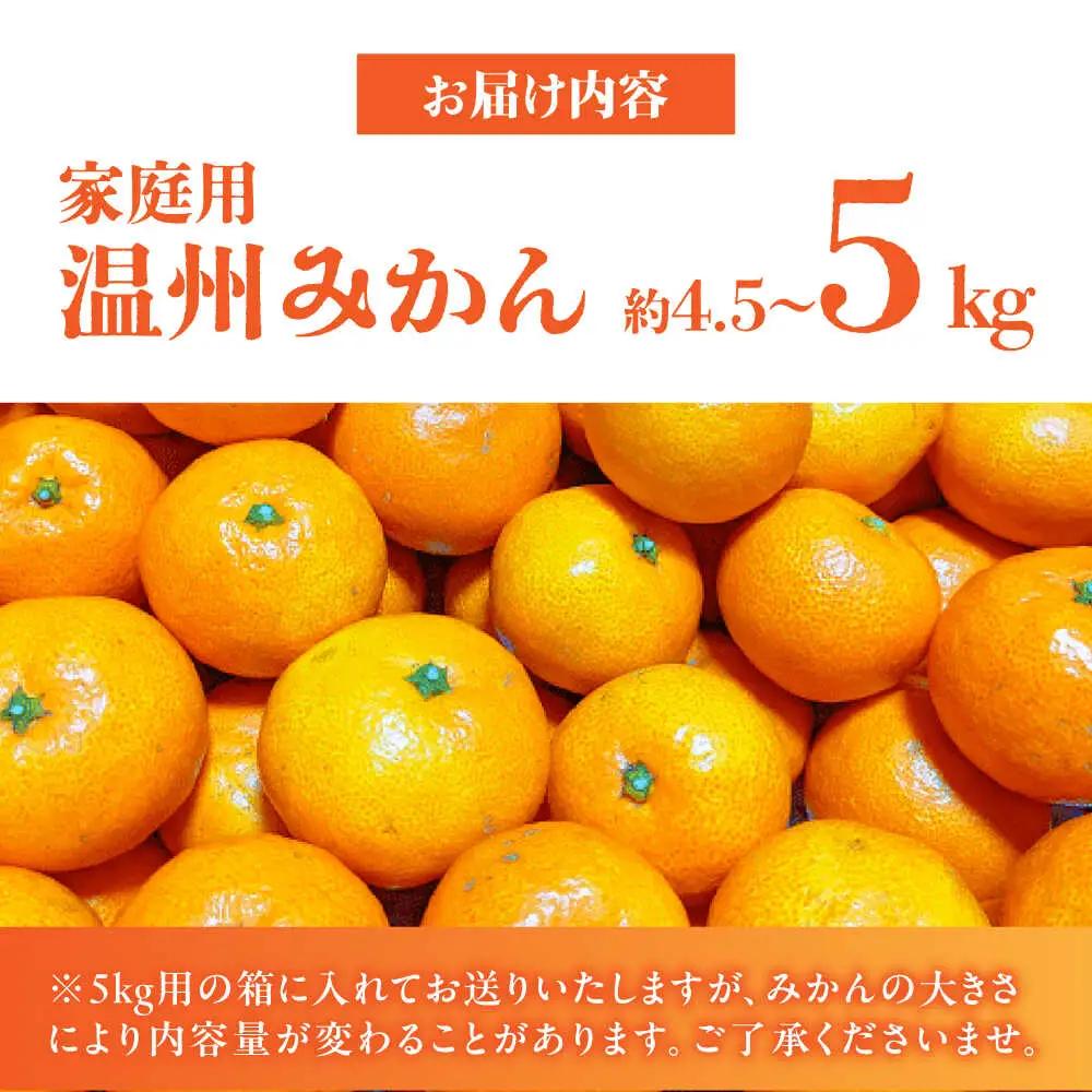 先行予約 訳あり家庭用 温州みかん約4.5kg~5kg熊本ZCN014