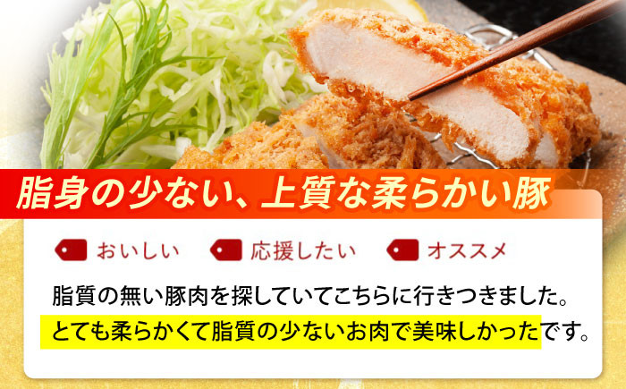 国産 三元豚 豚肉 豚ヒレ肉 ひれ ヒレ肉 切り落とし トンカツ とんかつ