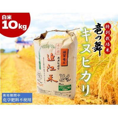 ふるさと納税 竜王町 【2025年2月中旬発送】【2024年産】竜の舞 キヌヒカリ10kg | 