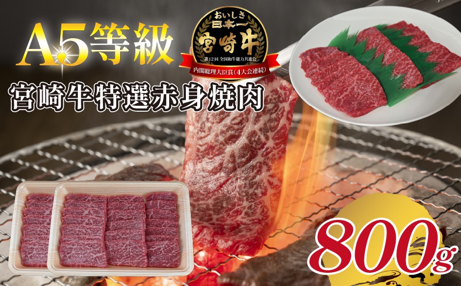 
            【A5等級】宮崎牛特選赤身焼肉 800g  宮崎牛 ブランド牛 和牛 牛肉 焼肉 特選和牛 赤身 A5 宮崎県 小林市
          