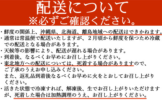 活き伊勢海老 600g以上 伊勢エビ 伊勢海老 えび 産地直送 送料無料 エビフライ 刺身 高知県 室戸市
