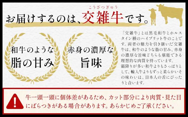 岡山県産牛 ステーキ サーロイン or リブ 250g 牛肉 交雑牛 
