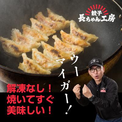 ふるさと納税 中間市 生姜餃子4パック(72個入り) |  | 02