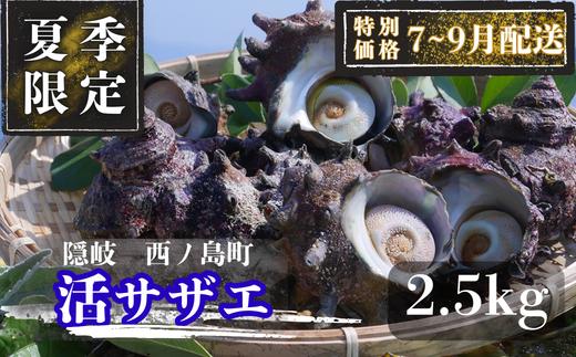 【限定価格！7～9月配送希望の方！】コリ旨！獲れたて鮮度抜群 島獲れ活サザエ2.5kg満足セット - 磯の香りと海の恵みを食卓へ 冷蔵便 サザエ 栄螺 貝 海鮮 BBQ さざえご飯 壺焼き 刺身 バーベキュー ギフト お中元 御中元　島サザエ　新鮮 天然