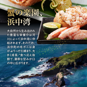 北海道産 毛ガニ1杯（550～580g）_H0001-054