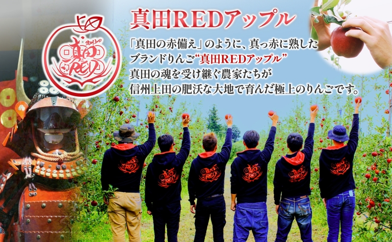 長野県 真田 RED アップル ジュース 瓶 1000ml 6本 飲料 果汁 100% フルーツ リンゴ 果物 りんご 林檎 無香料 無着色 ストレート にごり 旬 搾りたて 贅沢 戦国武将 ギフト 