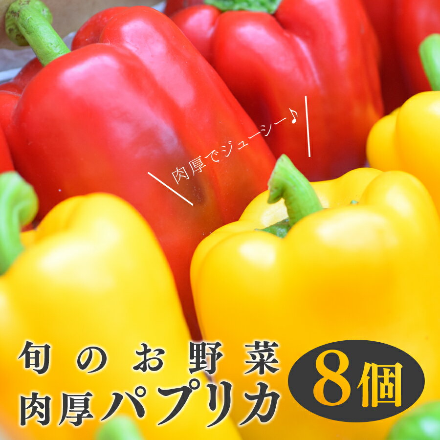 【ふるさと納税】【高知県 大月町産】田村農園の肉厚パプリカ　8個