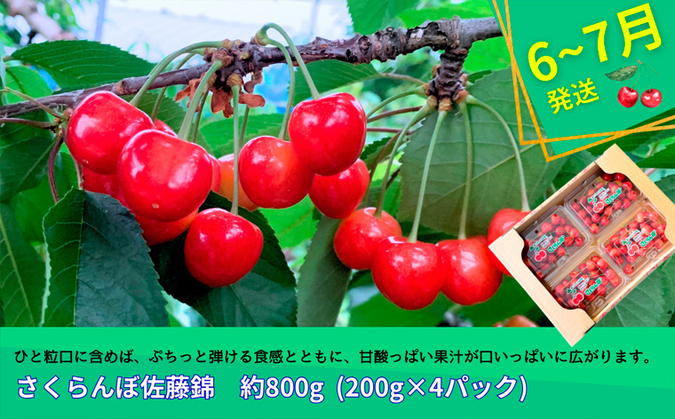 【定期便3回】やまがたフルーツ定期便”蔵王”山形名物フルーツA FY25-343