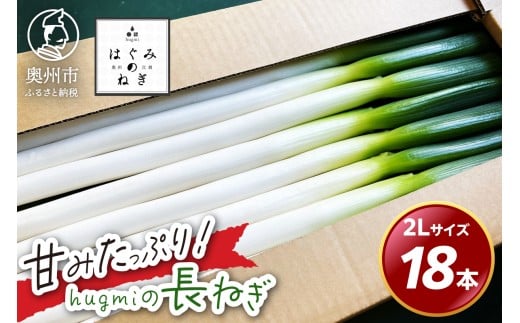 hugmiの長ねぎ 3kg 2Lサイズ 奥州市産 甘みたっぷり 冬ねぎ 冬野菜 生鮮食品 新鮮 野菜 食品 冷蔵配送 期間限定 離島配送不可 岩手県 奥州市 [BJ012]