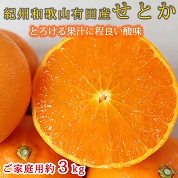 とろける食感!ジューシー柑橘 せとか 約3kg 【家庭用 訳あり】 ※2026年2月中旬～3月中旬頃に順次発送予定