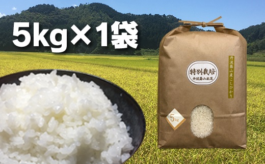 【令和7年産 2025年9月以降順次発送】丹波篠山の地醤油漬、佃煮セット　令和6年産 特別栽培米5kgと実山椒・山蕗