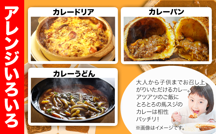 馬スジカレー 10食セット 馬肉 肉 馬スジ カレー《60日以内に出荷予定(土日祝除く)》株式会社千興ファーム 馬スジ カレー ---sn_fbsjikr_60d_23_13500_10set---