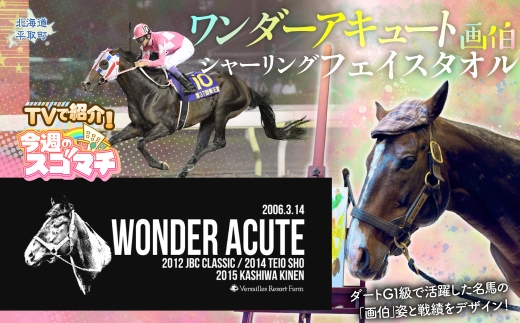TVで紹介！【ワンダーアキュート画伯】シャーリングフェイスタオル 【ふるさと納税 人気 おすすめ ランキング 馬 競馬 競走馬 引退馬 ワンダーアキュート タオル フェイスタオル シャーリングタオル 