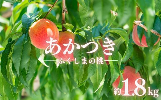 No.2885もも「あかつき」約1.8kg【2025年発送】
