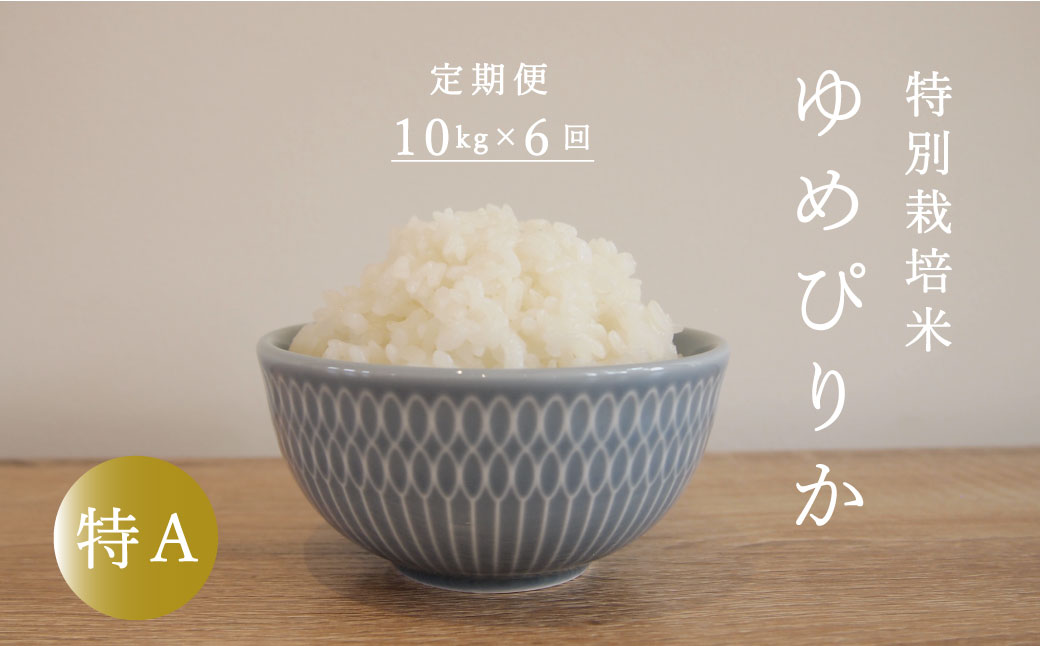 【令和7年産先行受付】【定期便】特別栽培米ゆめぴりか 10kg×6回 北海道当麻町 舟山農産 減農薬 低農薬【AB-019】