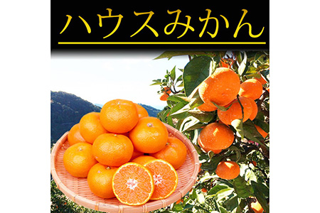 紀州和歌山有田産ハウスみかん　2.5kg　化粧箱入 ※2024年6月下旬～7月中旬頃に順次発送予定