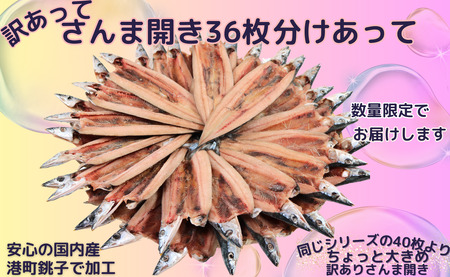 訳あり さんま 約3.6kg 36枚 さんま開き 干物 ヤマニンベン