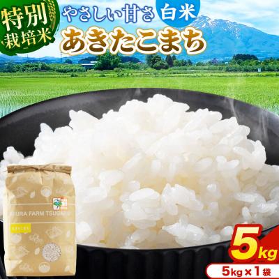 ふるさと納税 弘前市 米【特別栽培米】あきたこまち 白米 5kg(5kg×1袋)令和7年産|24_mft-040501