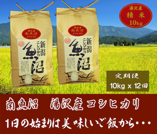 
【12ヶ月定期便】令和6年産【湯沢産コシヒカリ】＜精米＞（白米）10kg（5kg×2袋）精米したてのお米をお届け
