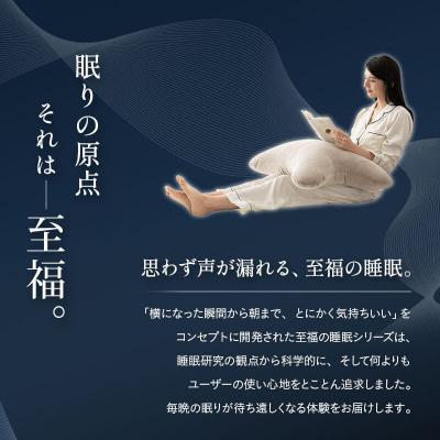 ふるさと納税 邑楽町 至福の睡眠 抱きしめピロー(グレー)|09_emr-070101a |  | 02