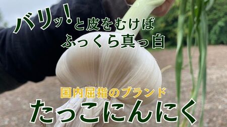 令和8年産朝採り直送！田子（たっこ）生にんにく約1kg（青森県田子町産にんにくM～Lサイズ混合）