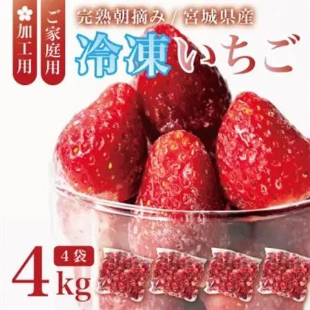 宮城県産 完熟冷凍いちご 4kg(1kg×4袋)【加工用・ご家庭用】ヘタ無しで便利♪通年出荷【配送不可地域：離島】【1497571】