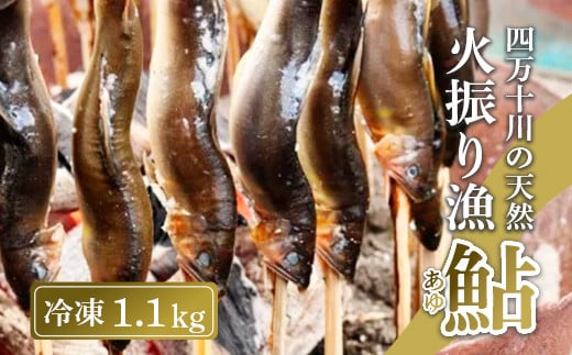 
四万十川上流の天然鮎 新もの冷凍 火振り漁鮎 1.1kg ( 冷凍 4～14尾 ) 鮎 あゆ アユ 川魚 高知県 四万十 天然 冷凍
