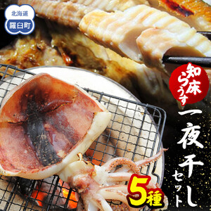 知床らうす 一夜干しセット　5種｜一夜干し　北海道