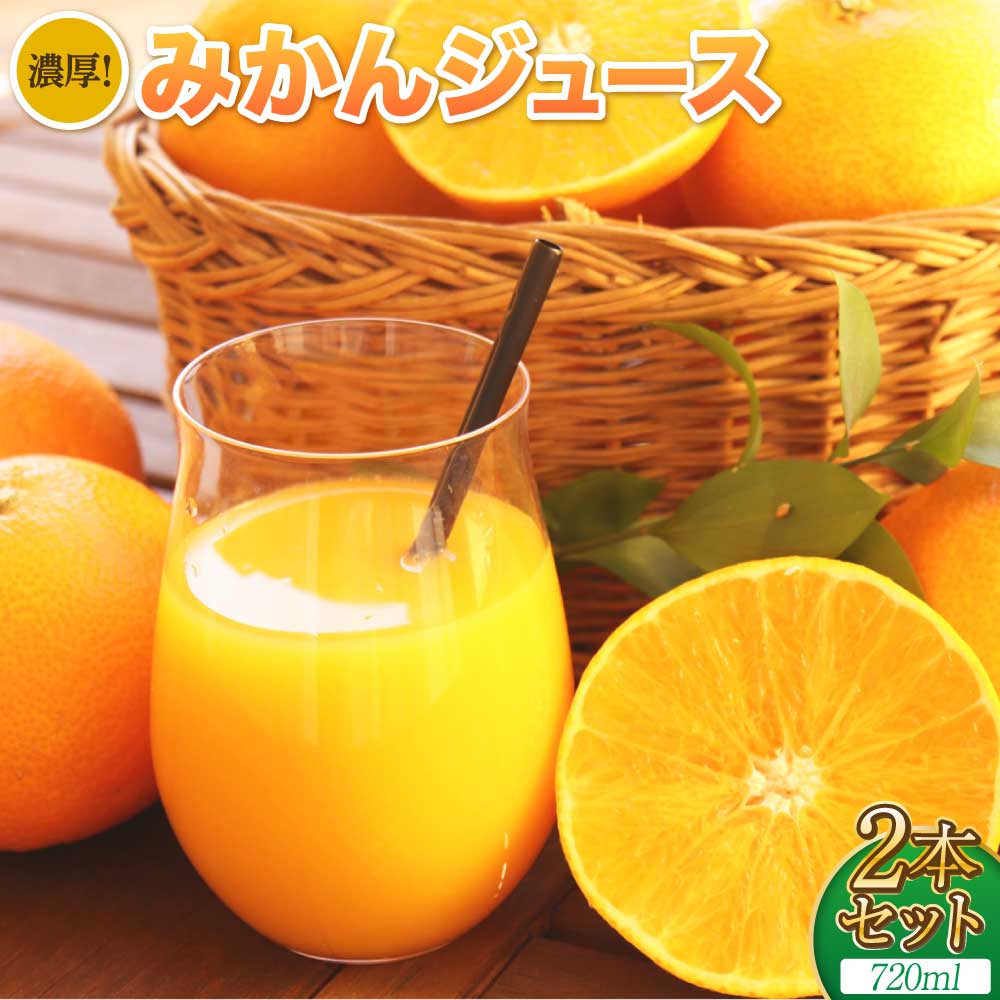 【ふるさと納税】 濃厚！ みかんジュース 2本セット 720ml×2本 合計1440ml 高岡オレンジ園