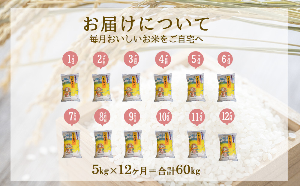 【年間定期便】 えびの産 ひのひかり 5kg×12ヶ月 合計60kg