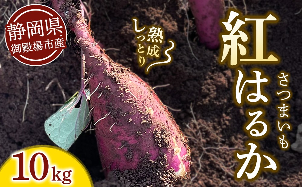 
                  さつまいも 紅はるか 10kg | サツマイモ さつま芋 芋 べにはるか 熟成 静岡県 御殿場市 ※2026年10月～発送
                