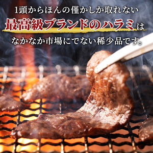 黒毛和牛ハラミ塩麹漬け焼肉冨士屋牛肉店黒毛和牛【500g】