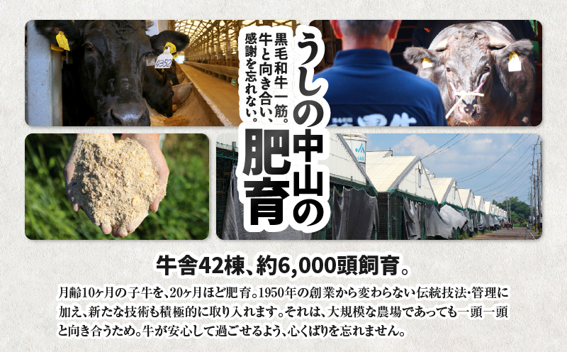 2289 うしの中山 黒毛和牛 切り落とし 400g　KN050-007