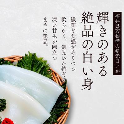 ふるさと納税 若狭町 【若狭湾産】剣先イカ 3〜6杯　スミ抜き　冷凍 |  | 01