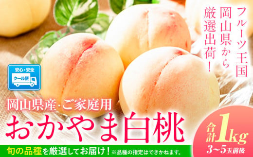 【2025年度先行予約】おかやま白桃 もも 1kg 3~5玉前後 岡山県産 ご家庭用《2025年6月下旬-9月上旬頃出荷》岡山県 浅口市 厳選出荷 白桃 黄桃 白鳳 清水白桃 おかやま夢白桃 川中島白桃 白皇 黄金桃 果物 フルーツ