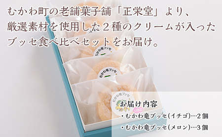 北海道むかわ町 むかわ竜ブッセ イチゴクリーム(2個)&メロンクリーム(3個)計5個 食べ比べセット 【 ふるさと納税 人気 おすすめ ランキング ブッセ 洋菓子 イチゴ メロン むかわ竜 カムイサウ