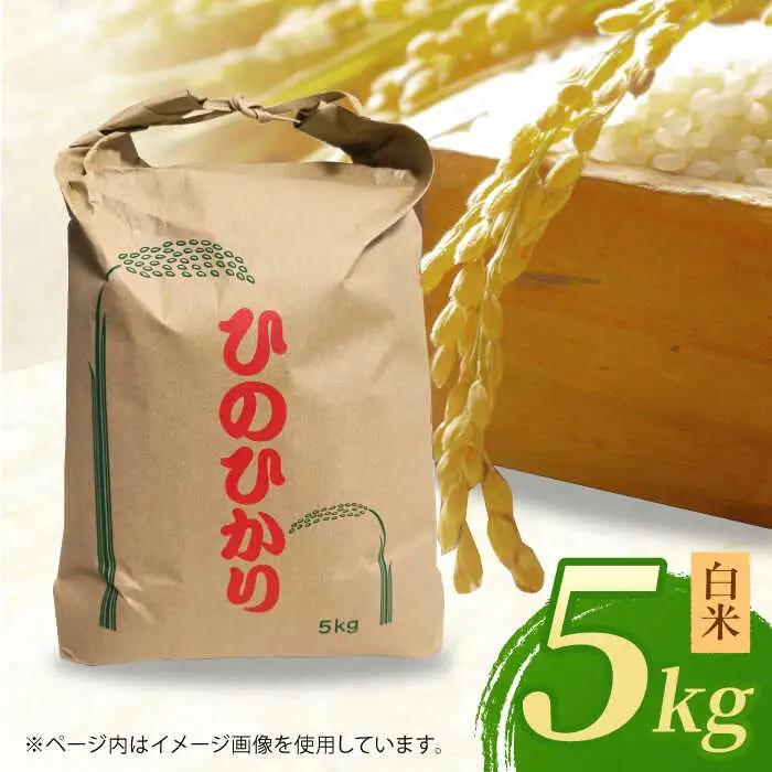 ヒノヒカリ 白米5kg 【角田農園】[ZEV001] 白米 コメ ごはん 熊本 山鹿 