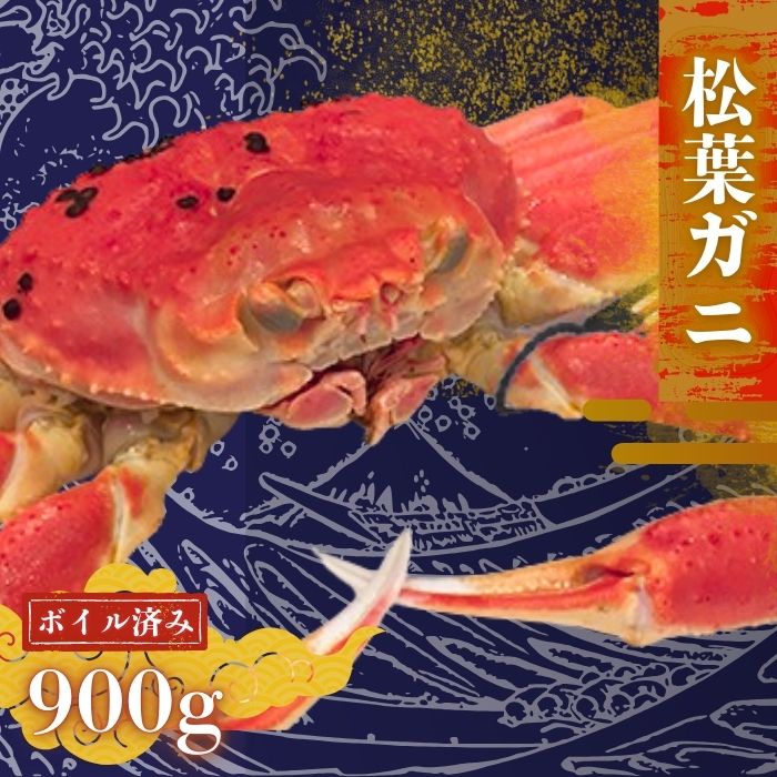 【ふるさと納税】【配送日時指定可能！】松葉ガニ 900g〈ボイル〉松葉ガニ マツバガニ タグ付き 特大サイズ ＜11月中旬～2月中旬発送予定＞松葉カニ 蟹 かに 松葉蟹 大人気 おすすめ ギフト 贈り物 贈与 贈答品 お祝い事 祝辞
