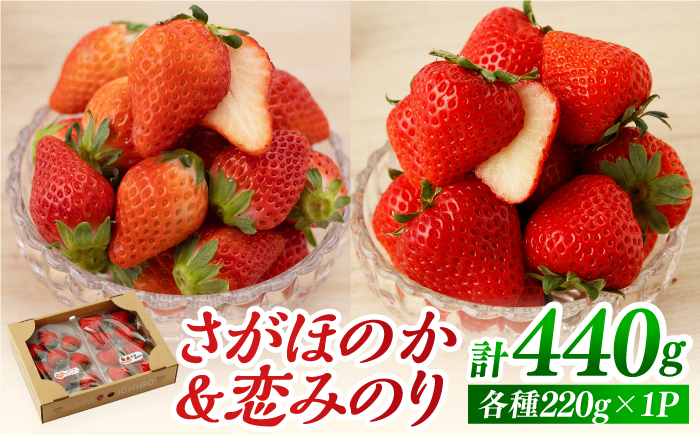 
【先行予約】食べ比べ！恋みのり＆さがほのか 各220g 赤いちご 詰め合わせ セット【鐘ヶ江農園】 [IBH007]
