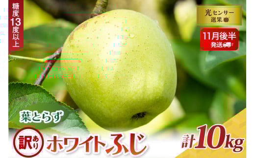 【2025年11月後半発送】【訳あり】葉とらずホワイトふじ10kg
