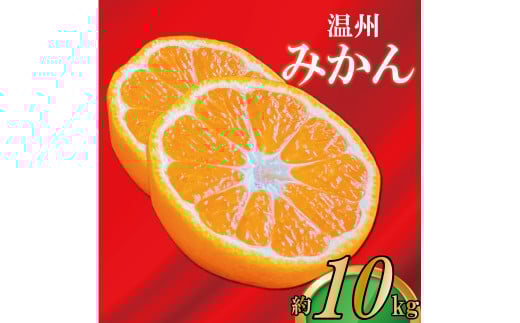 【2025年11月上旬より順次発送】【極撰】みかん 香川 温州みかん 約10kg フルーツ 果物 柑橘 柑橘類 デザート おやつ 旬 産地直送 冬の味覚 旬の果物 旬のフルーツ お取り寄せ 取り寄せ 送料無料 温州ミカン ミカン 蜜柑
