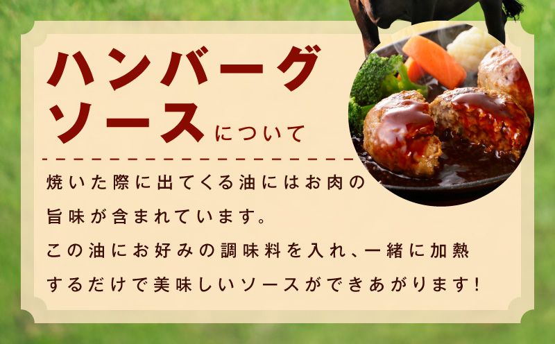 黒毛和牛100％ 極み生ハンバーグ（180g）×10個 CFX0027