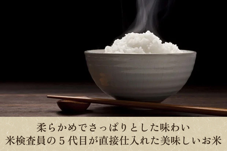 【令和7年産新米】【定期便3ヶ月毎月お届け】新潟県産こしいぶき 精米 5kg 《順次出荷》 コシイブキ 新潟米 お米 白米 ライス ご飯 加茂市 捧運次商店