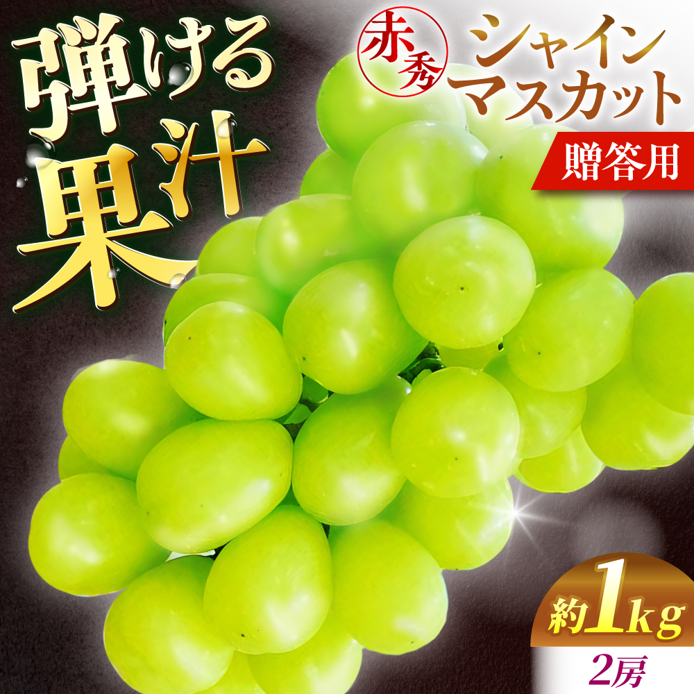 【2026年先行予約】＜9月中旬から順次発送＞ぶどう シャインマスカット 1kg（2房 赤秀） 露地栽培 シャインマスカット マスカット 果物 くだもの フルーツ ぶどう 葡萄 三次市/西田ぶどう園 [APCM001]
