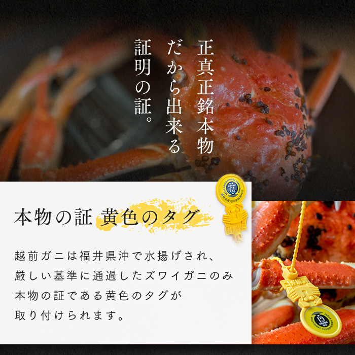 【年内届け】茹で越前ガニ【期間限定】食通もうなる本場の味をぜひ、ご堪能ください。1kg以上×2杯　越前がに 越前かに 越前カニ ずわいがに かに カニ ボイルガニ