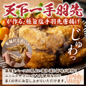 鶏肉 【レンジでチンするだけ♪】極旨塩手羽先唐揚げ 24本 手羽先 手羽 簡単調理）