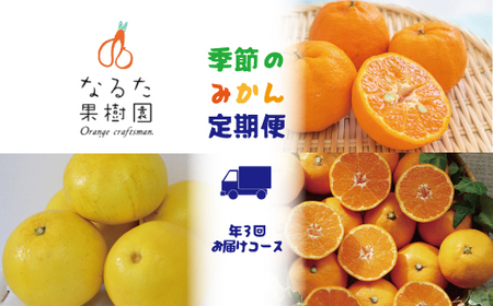 なるた果樹園 みかん定期便 A ぽんかん 土佐文旦 温州みかん ぶんたん 文旦 みかん